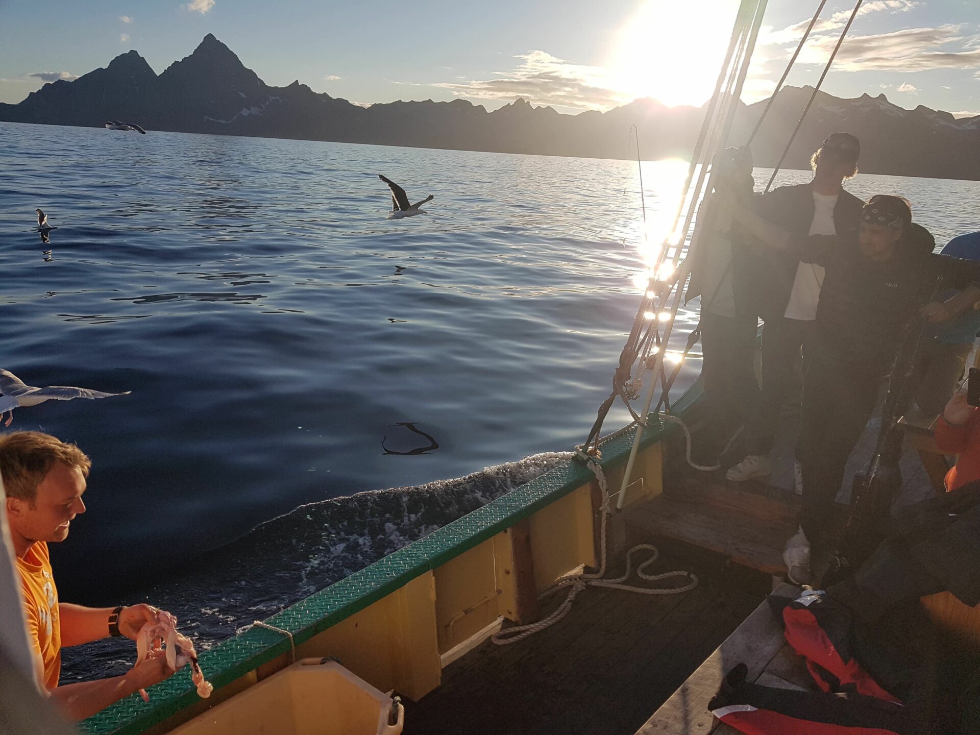 Midnight Sun Fishing from Svolvaer with Go2Lofoten Visit Lofoten
