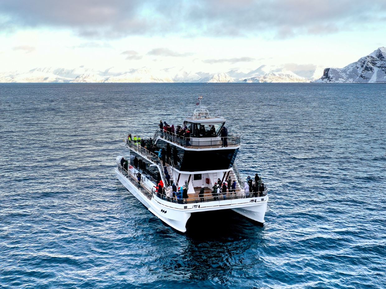 lofoten wildlife photo tour